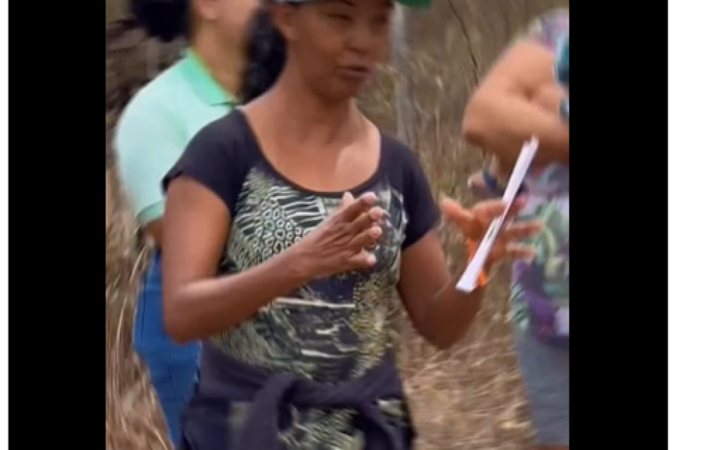 Captura de tela 2025-10-22 150136.png