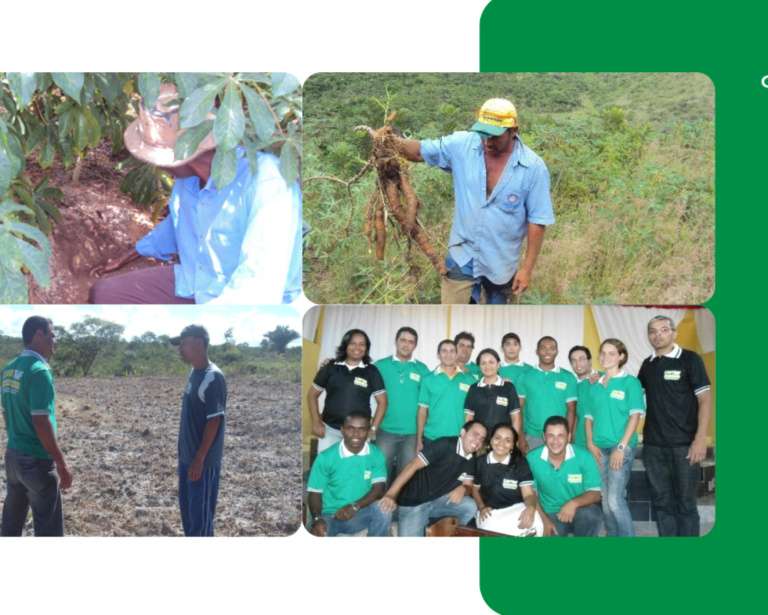 agricultura